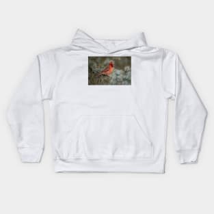 Male Northern Cardinal Kids Hoodie